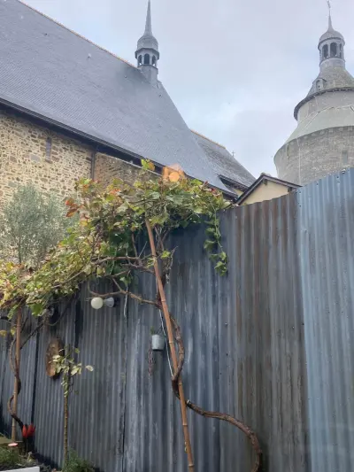 Vigne sur la terrasse de Mamilig, avec le clocher de l’église et la tour du château de Châteaugiron